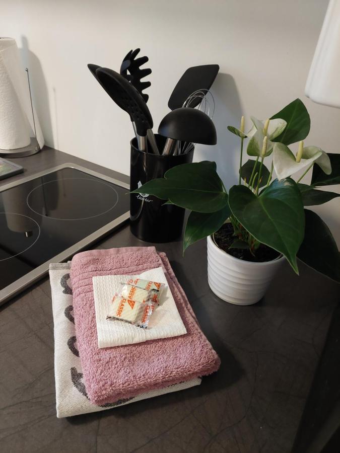 Helles Modern Eingerichtetes Apartment Halle  Exterior photo